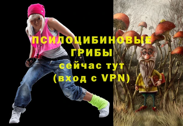 бутират Алексин