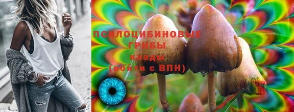 сатива Алексеевка